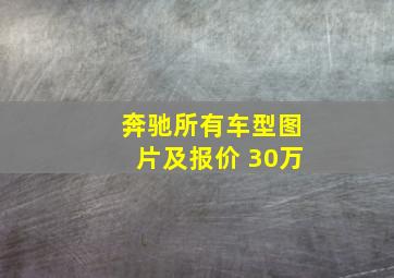 奔驰所有车型图片及报价 30万